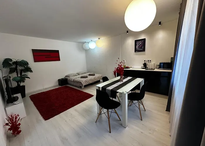 Apartament In Centrul Clujului