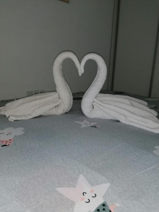 In Centrul Clujului Apartment