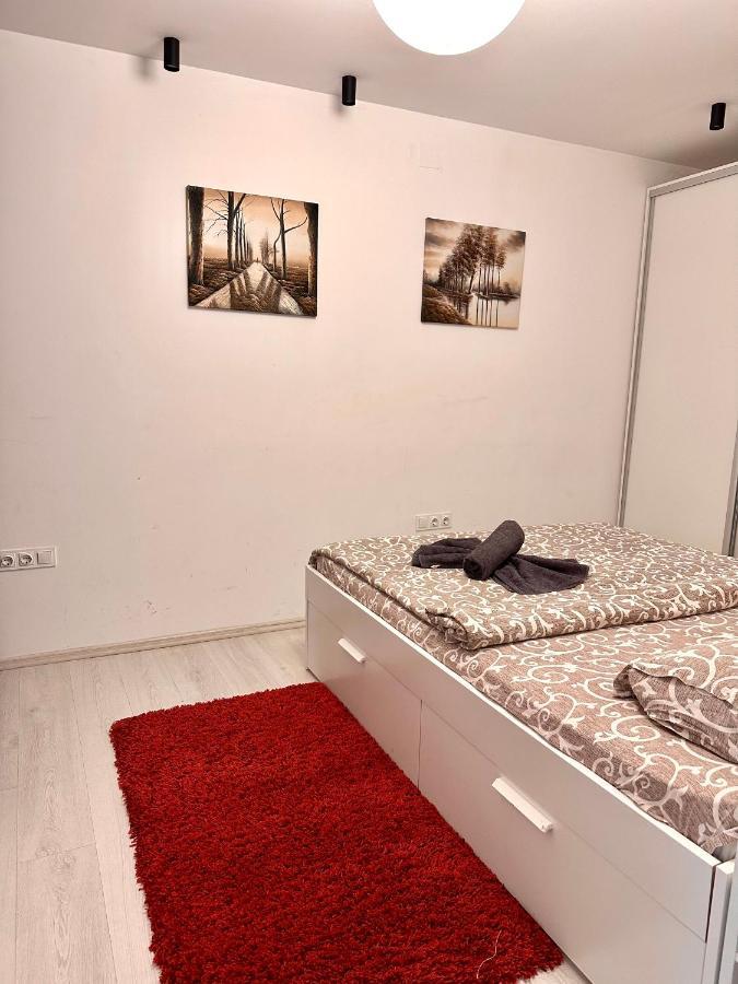 In Centrul Clujului Apartment